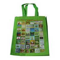 安徽LB11覆膜无纺布广告袋